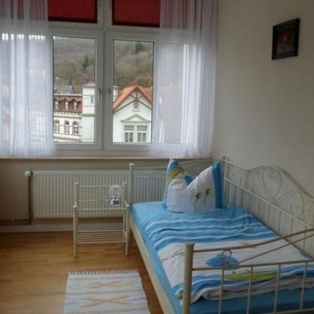 Wohnung In Blankenburg Harz Mit Grill, Garten Und Terrasse Ngoại thất bức ảnh